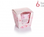 Cherry Blossom