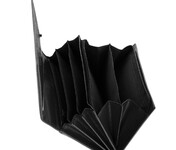 LA SCALA DGN - negru