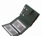 LA SCALA VSP120. verde