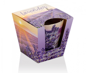 Lavender-Fields