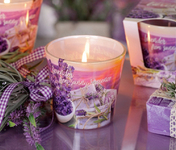 Lavender-Fields