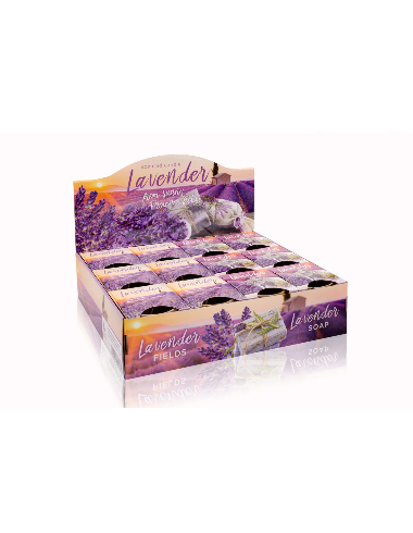Lavender-Fields